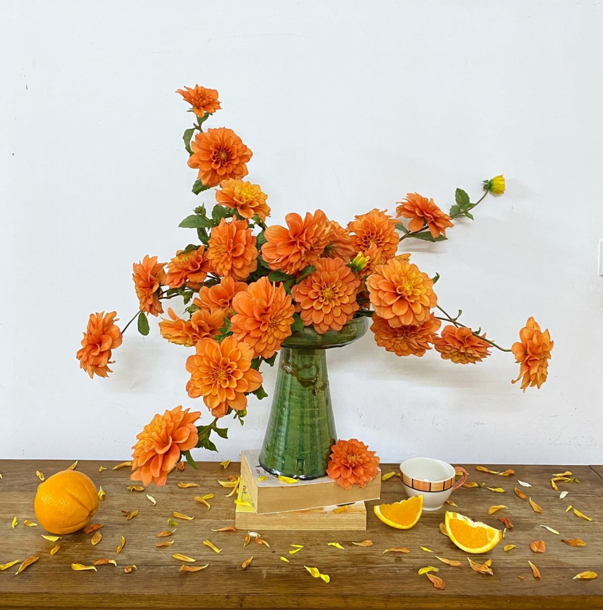 Tử vi hàng ngày - Thứ Tư 12/4/2023 của 12 cung hoàng đạo